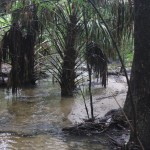 Water rushing down towards the pond